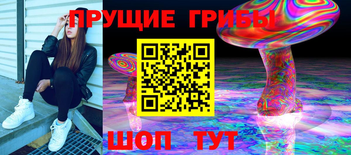 Галлюциногенные грибы Psilocybe  Вход с VPN  Вольск  Псилоцибиновые грибы прущие грибы 